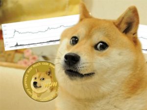 About doge miner